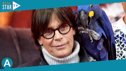 Stéphanie de Monaco grand-mère : 1re photo de la fille de Louis et Marie Ducruet, le sublime prénom