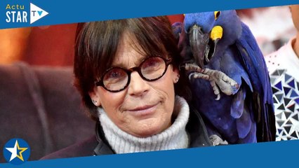 Stéphanie de Monaco grand-mère : 1re photo de la fille de Louis et Marie Ducruet, le sublime prénom