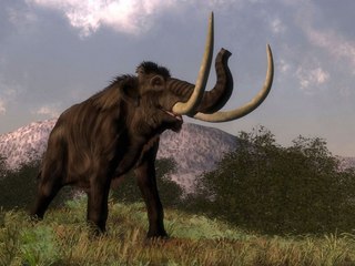 What If Extinct Animals Could Be Brought Back to Life?