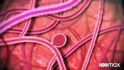 ONLY YOU An Animated Shorts Collection - Trailer HBO Max Original