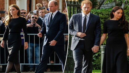 Kate Middleton called Harry, Meghan walkabout the ‘hardest’ thing she’s had to do ... dailymotion