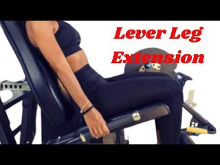 Lever Leg Extension - Extension de jambe de levier