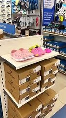 Attention! Tiny crocs found#cat