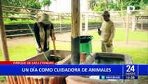 Conoce cómo es el trabajo de un cuidador de animales en el Parque de las Leyendas
