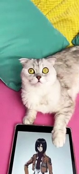 Mikasa Caterman#attackontitans #mikasa #anime #cosplay