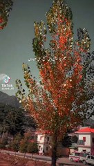 VID-20230101-WA0001