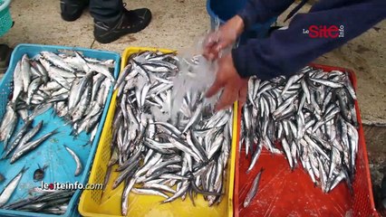 بائعو السمك بوجدة غاضبون_ المسكين مابقاش يدخل لمارشي الحوت وكاين لي يجي يشم غير ريحتو ويمشي بحالو