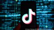 What kind of data does Chinese-owned app TikTok store from its users?