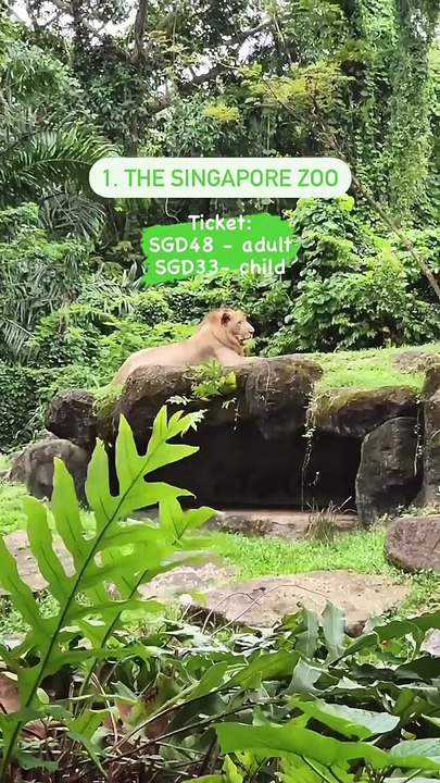 SP Guide To  Kid-Friendly Places In Singapore