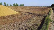 Wheat straw storage process | Pakistan village work and rural lifeگندم کے بھوسے کو ذخیرہ کرنےکا عمل