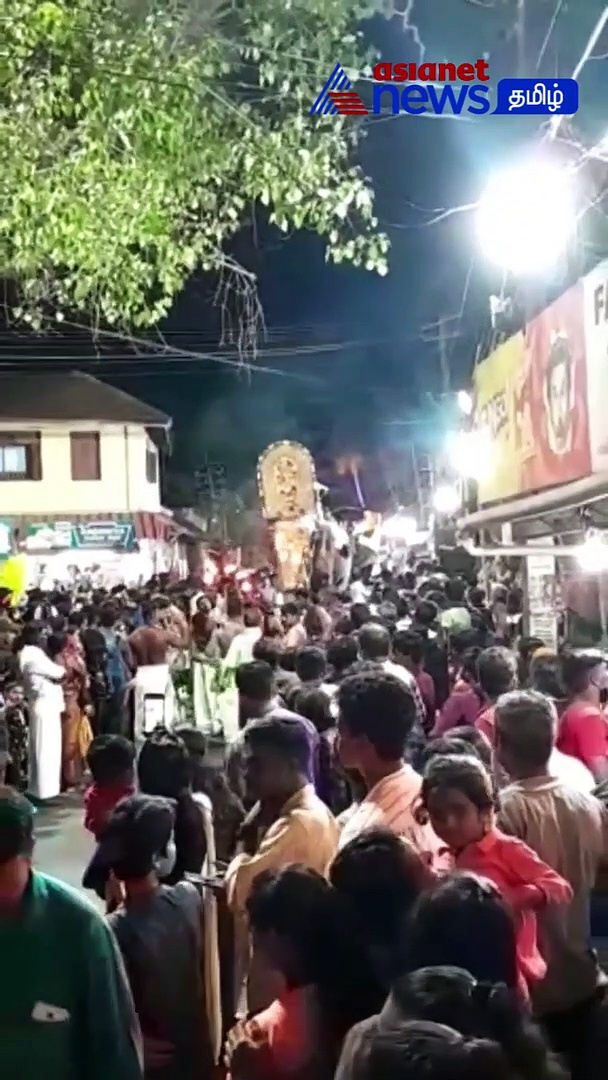 Viral Video : யானையில் வாலை பிடித்து திருகிய நபர்! பாகலை தூக்கி வீசிய யானை! - பதபதக்கும் வீடியோ!