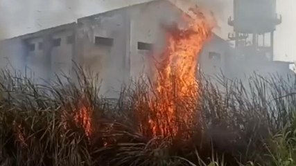 शेखपुरा: असमाजिक तत्वों ने लगाई आग, अग्निशमन विभाग ने पाया काबू