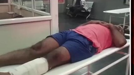 बैतूल: बाइक के सामने कुत्ता आ जाने से हुआ हादसा, युवक हुआ गंभीर घायल