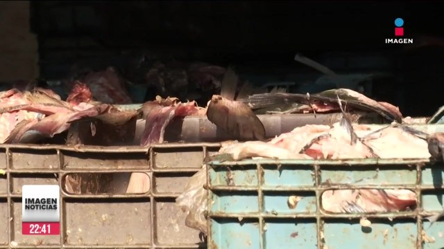 Comerciantes de La Nueva Viga: sin agua y rodeados de basura