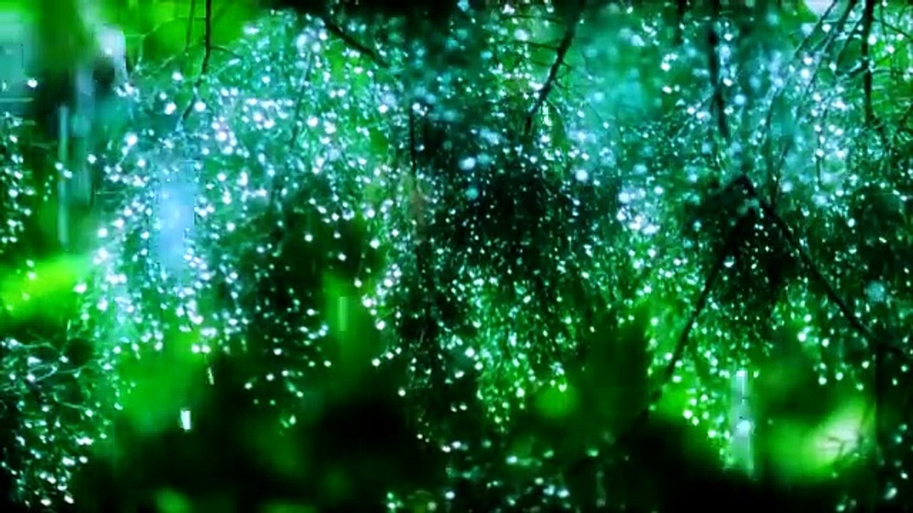 30 Min Calming Music I Soft Rain Sounds Sleep Music  I Relaxing Music I Meditation I Yoga I Spa