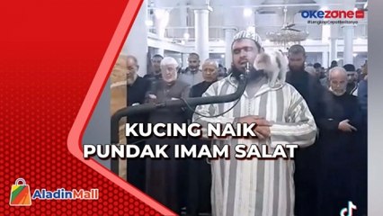 Viral! Kucing Naik Pundak dan Cium Pipi Imam Salat