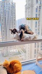 videos 2023,best funny videos 2023,fun  #DILSHAD #shorts #short #youtubeshorts