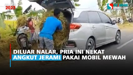 Diluar Nalar, Pria Ini Nekat Angkut Jerami Pakai Mobil Mewah