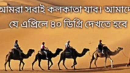 ৪০ ছুঁই ছুঁই কলকাতা, মরুভূমি থেকে আসছে উট! সোশাল মিডিয়ায় মিম-এর বন্যা