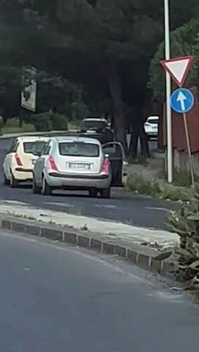 Person Gets Pushed Out of Moving Car