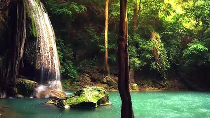 Native American Flutes Relaxing Music With  Rain and Nature Sound