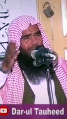 madni Madeenay wala asan peer man lya ay naat
