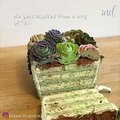 cake or not