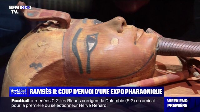Ramsès et l’or des pharaons : les premiers visiteurs enchantés par l'exposition
