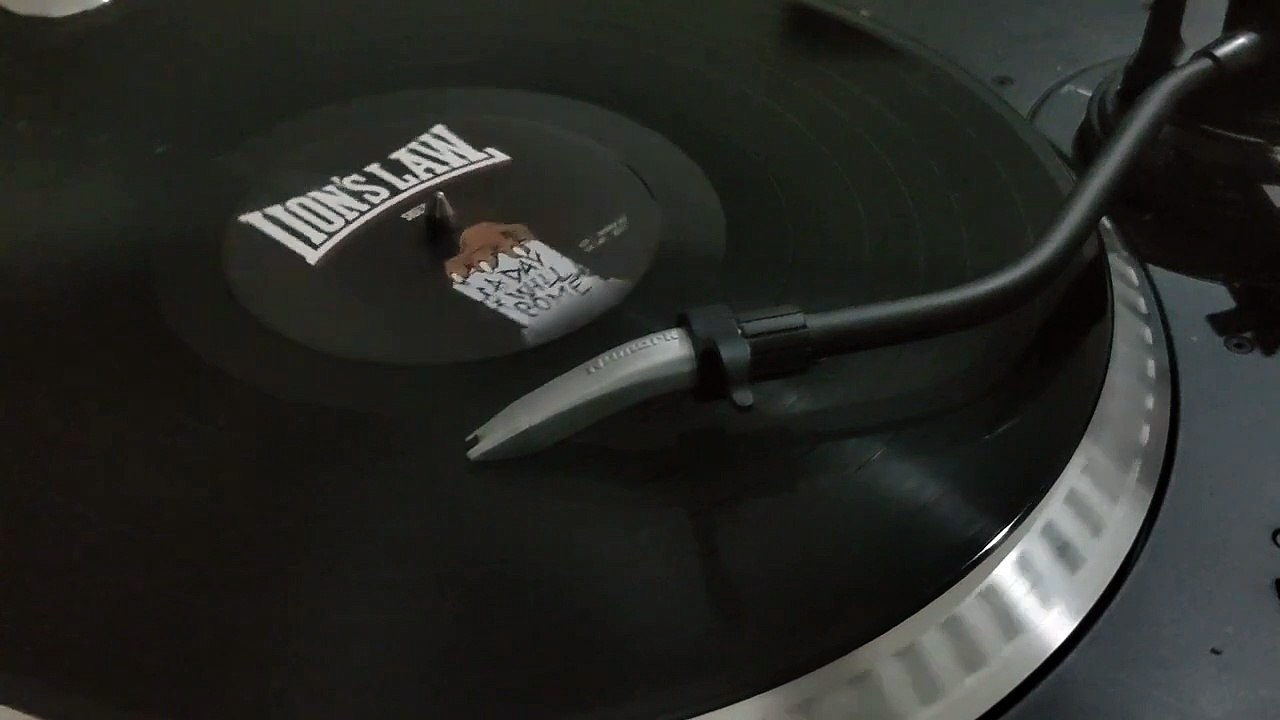 Lion's Law - A Day Will Come