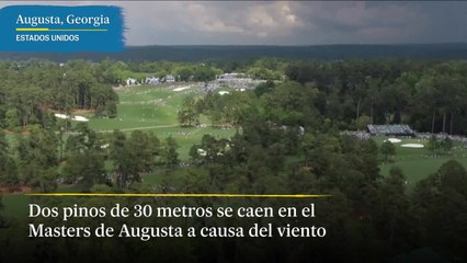 Dos pinos de 30 metros se caen en el Masters de Augusta