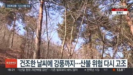 건조특보에 양간지풍…'강수효과' 끝, 산불 위험↑