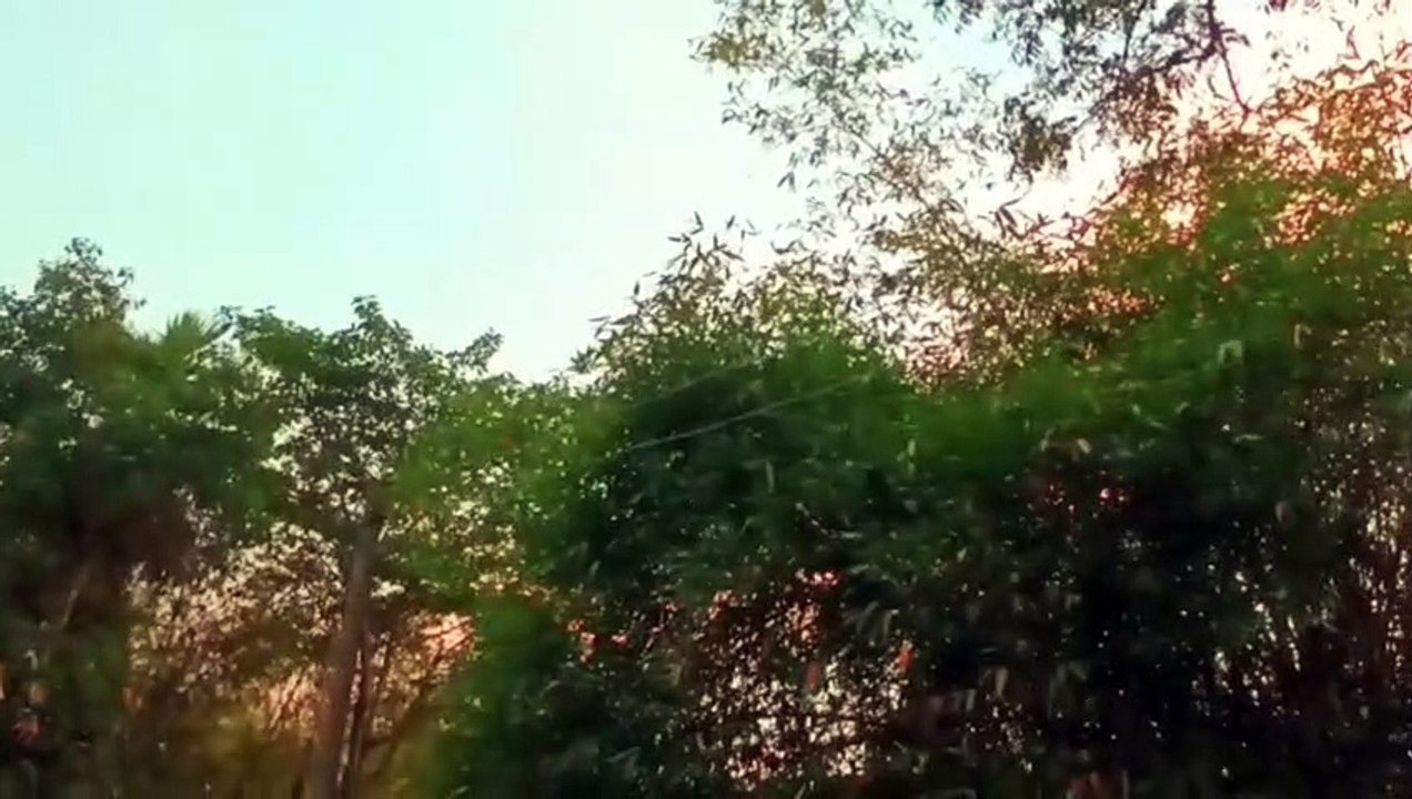 Mind-blowing nature