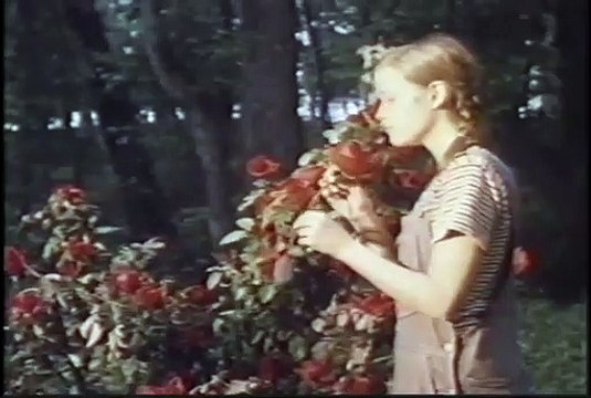 L'Enfance brisée Bande-annonce (EN)