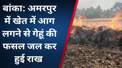 बांका: खेत में आग लगने से गेहूं की फसल जलकर हुई राख, देंखे Live वीडियो