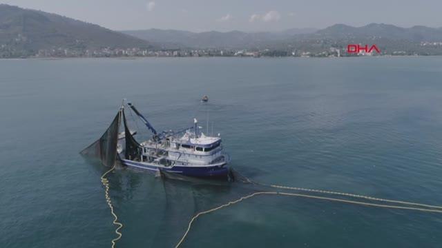 PROF. DR. AYDIN HAMSİ, TÜRK SOMONUNUN YEMİ OLDU