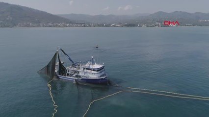 PROF. DR. AYDIN HAMSİ, TÜRK SOMONUNUN YEMİ OLDU