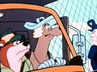 CB Bears CB Bears E012