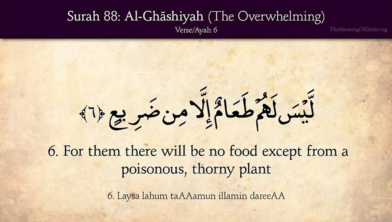 Quran- 88. Surat Al-Ghashiyah (The Overwhelming)- Arabic and English translation HD