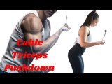 Cable Triceps Pushdown - Câble Triceps Pushdown