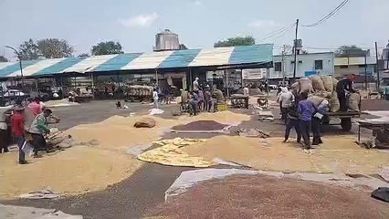 बैंक अवकाश होने के बाद भी किसानों के हित में खुली रही मंडी