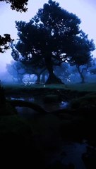 Whatsapp status || juma status || qurani Aity with urdu tarjuma