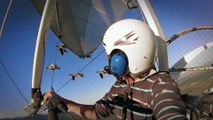 Birds of Passage - A Secret Journey Through the Skies - Free Documentary Nature