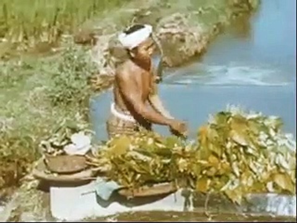Bali tahun 1936