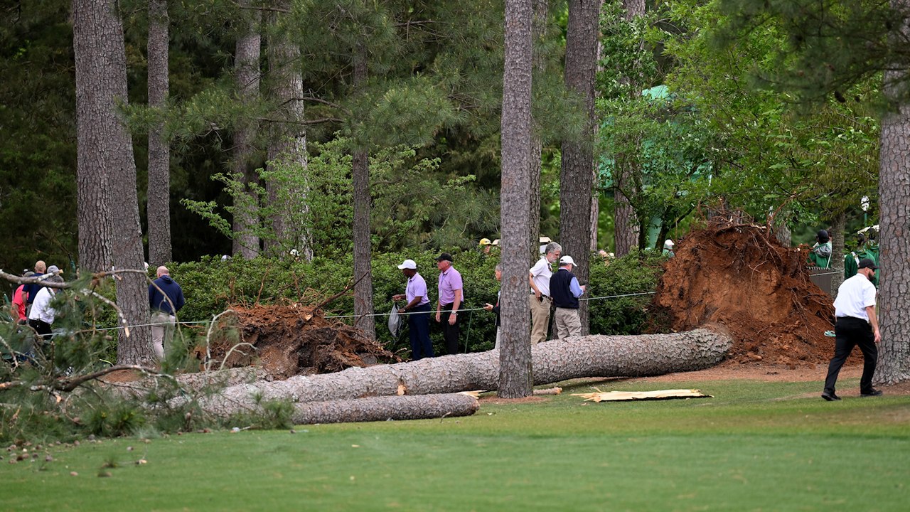 Golf : des arbres tombent sur des spectateurs lors du Masters d'Augusta