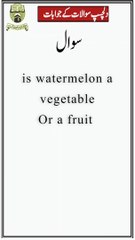 Gk knowledge| Today's question is watermelon vegetable or fruit |al javed tv