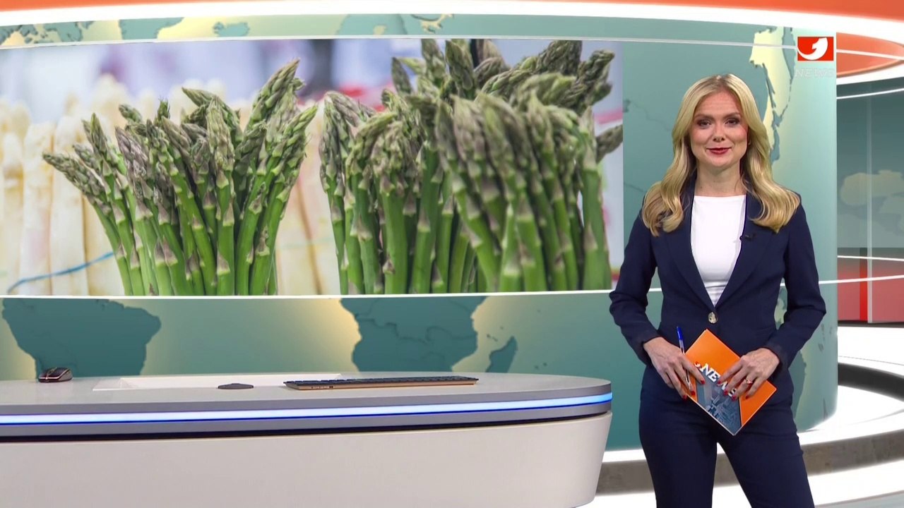 Angela Van Brakel Kabel 1 Nachrichten (08/04/2023)