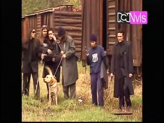 pandillas guerra y paz Cap 234 comienza el canje de don ciro