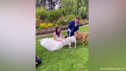 You will never be able to ask a dog stop loving their owner -  Cute dog and owner relationship
