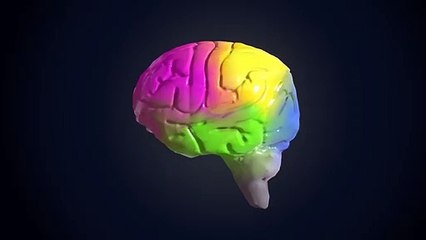 Good thinky colourful brain become compel on take new long life dream seeds.
