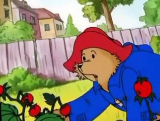 The Adventures of Paddington Bear The Adventures of Paddington Bear E025 – Paddington Hits Out